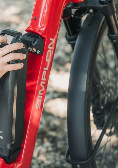 © Dario Fink © Dario Fink